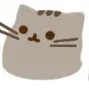 :blobcatpusheen: